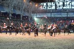 Cavalry - 00257